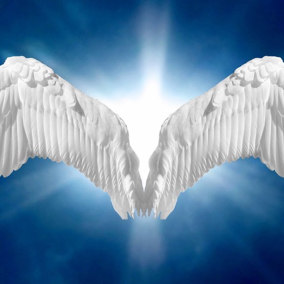 various Other - NWT !!! SHOW PLEASE LIKE FOR FUTURE SHOWS THANK YOU